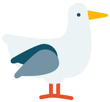 https://werkenbijraamwerk.nl/storage/pwx_media/121/Meeuw.webp